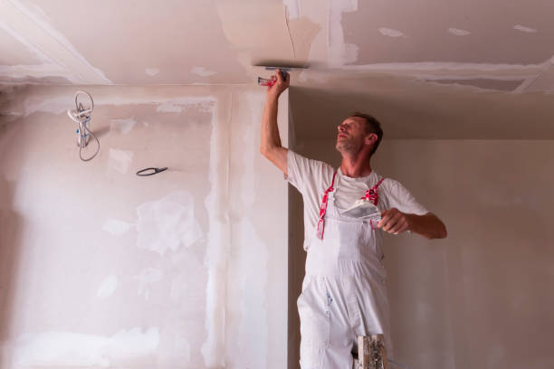 Best Ceiling Drywall Installation  in USA